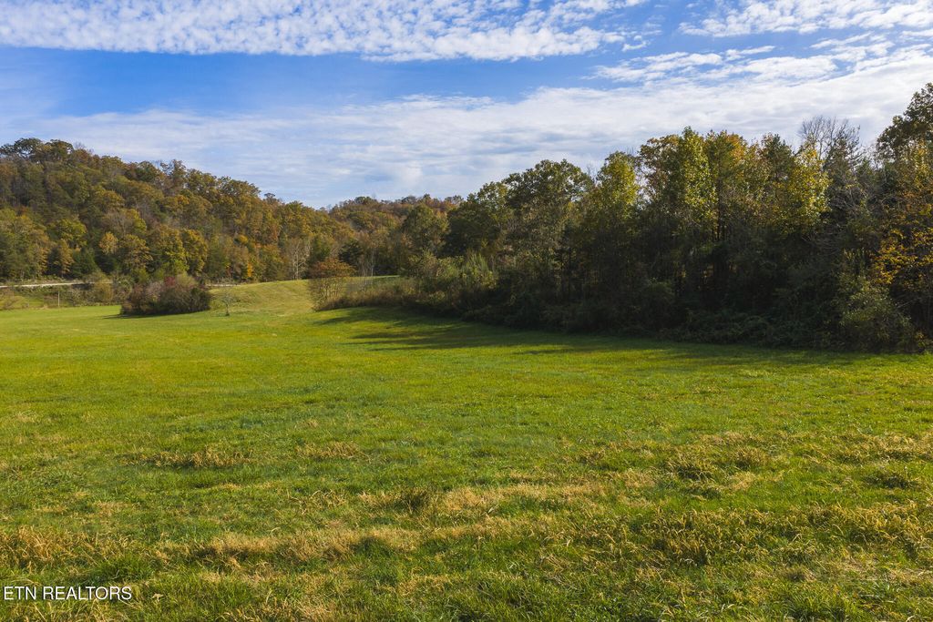 Photo of 1619 Lynn Flanary Rd, Blackwater, VA 24221 (MLS # 1321005)