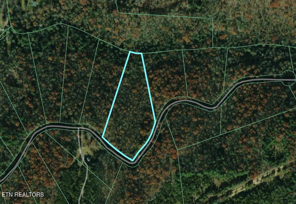 Photo of 19 Catoosa Drive, Lancing, TN 37770 (MLS # 1310222)