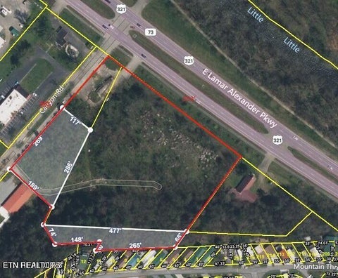 Tiny photo for 7062 E Lamar Alexander Pkwy, Townsend, TN 37882 (MLS # 1345644)