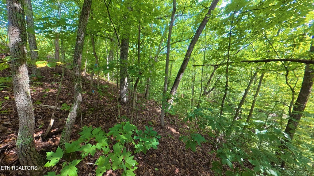 Photo of Lot 25 Shady Oaks Way, Sevierville, TN 37876 (MLS # 1353017)