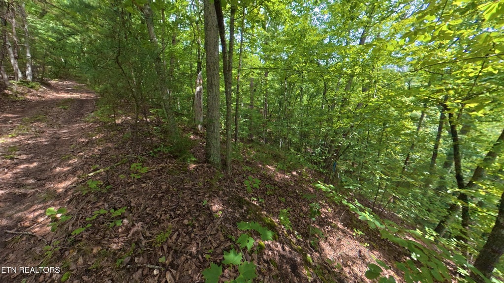 Photo of Lot 25 Shady Oaks Way, Sevierville, TN 37876 (MLS # 1353017)