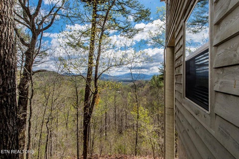 Tiny photo for 620 Hawk View Drive, Townsend, TN 37882 (MLS # 1344669)