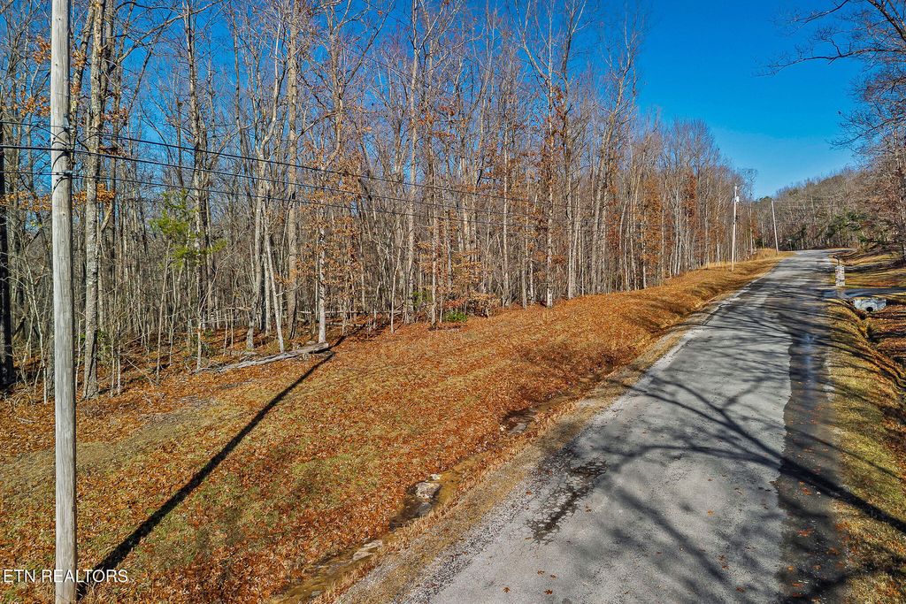 Photo of 4 E Overlook Rd, Monterey, TN 38574 (MLS # 1324849)