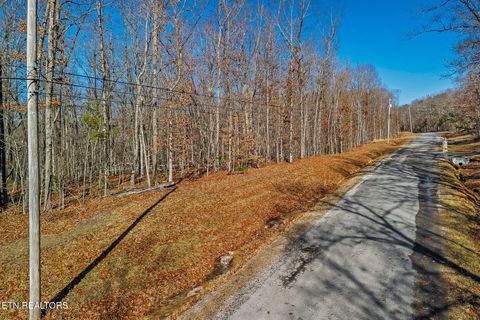 Photo of 4 E Overlook Rd, Monterey, TN 38574 (MLS # 1324849)