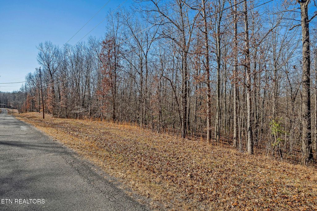 Photo of 4 E Overlook Rd, Monterey, TN 38574 (MLS # 1324849)
