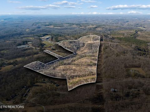 Tiny photo for Burrville Rd., Sunbright, TN 37872 (MLS # 1327459)