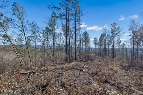 Tiny photo for Burrville Rd., Sunbright, TN 37872 (MLS # 1327459)