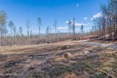 Tiny photo for Burrville Rd., Sunbright, TN 37872 (MLS # 1327459)