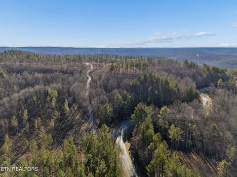 Tiny photo for Burrville Rd., Sunbright, TN 37872 (MLS # 1327459)