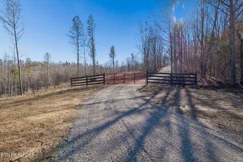 Tiny photo for Burrville Rd., Sunbright, TN 37872 (MLS # 1327459)