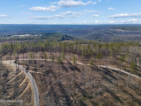 Tiny photo for Burrville Rd., Sunbright, TN 37872 (MLS # 1327459)