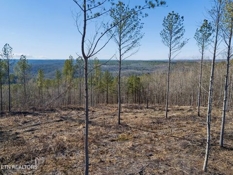 Tiny photo for Burrville Rd., Sunbright, TN 37872 (MLS # 1327459)