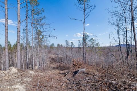 Tiny photo for Burrville Rd., Sunbright, TN 37872 (MLS # 1327459)