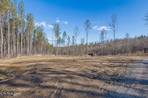 Tiny photo for Burrville Rd., Sunbright, TN 37872 (MLS # 1327459)