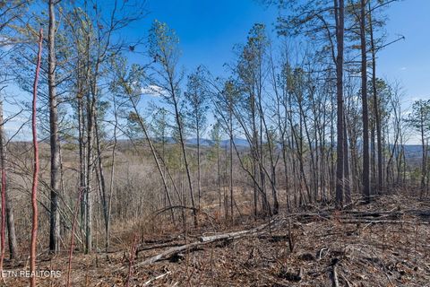 Tiny photo for Burrville Rd., Sunbright, TN 37872 (MLS # 1327459)