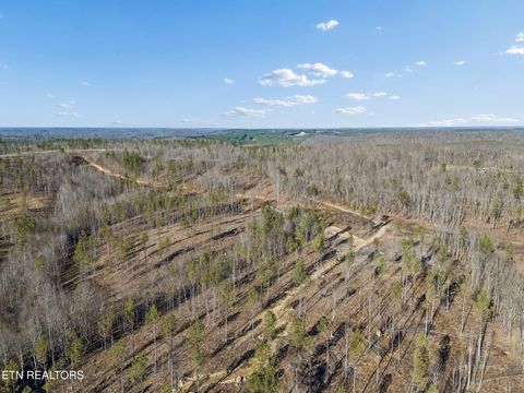 Tiny photo for Burrville Rd., Sunbright, TN 37872 (MLS # 1327459)