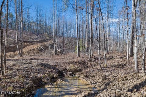 Tiny photo for Burrville Rd., Sunbright, TN 37872 (MLS # 1327459)