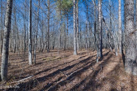 Tiny photo for Burrville Rd., Sunbright, TN 37872 (MLS # 1327459)