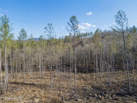 Tiny photo for Burrville Rd., Sunbright, TN 37872 (MLS # 1327459)