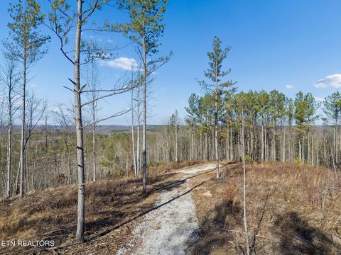 Tiny photo for Burrville Rd., Sunbright, TN 37872 (MLS # 1327459)