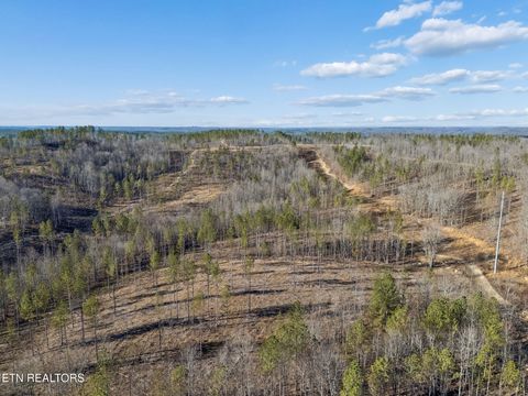 Tiny photo for Burrville Rd., Sunbright, TN 37872 (MLS # 1327459)