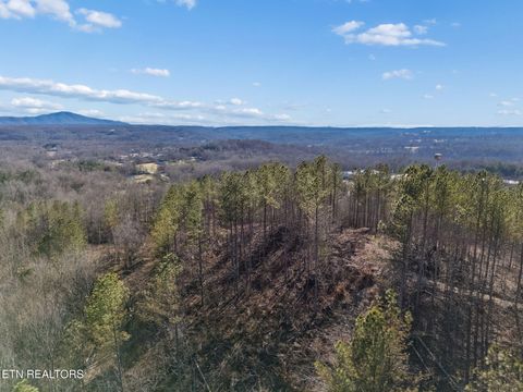 Tiny photo for Burrville Rd., Sunbright, TN 37872 (MLS # 1327459)