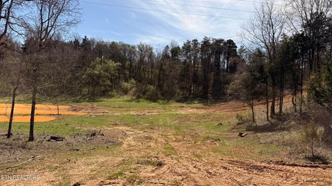 Tiny photo for 4 Whittle Rd, New Market, TN 37820 (MLS # 1332769)