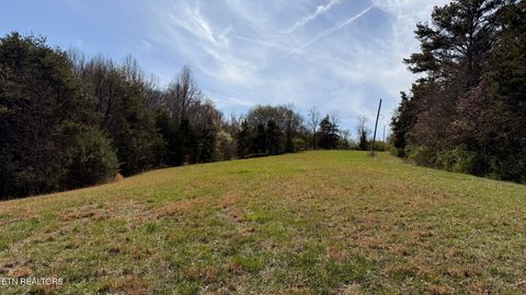Tiny photo for 4 Whittle Rd, New Market, TN 37820 (MLS # 1332769)
