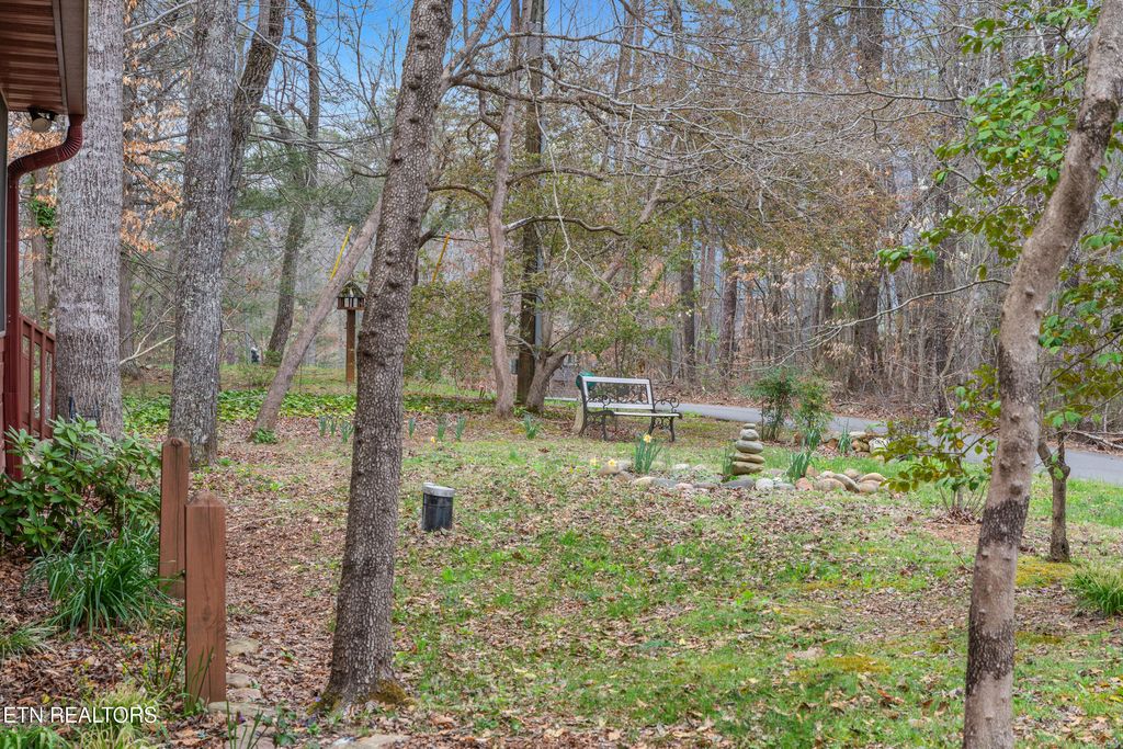 Photo of 3820 Saddle Brook Way, Sevierville, TN 37862 (MLS # 1334202)