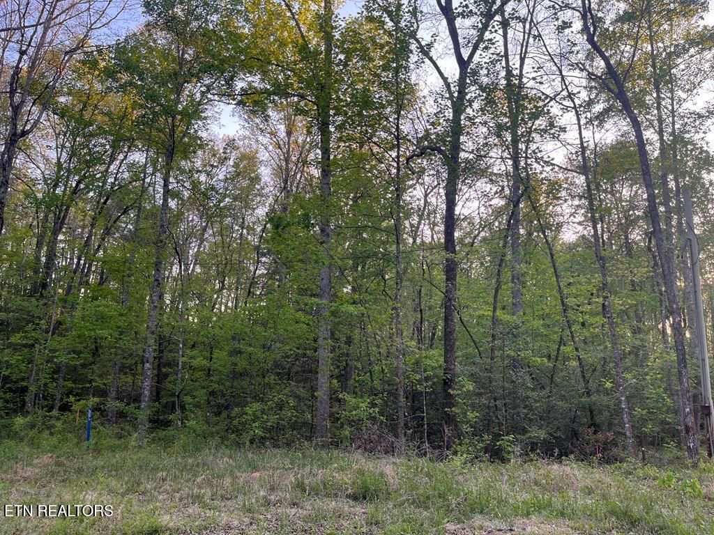 Photo of 0 Kiddie Circle #0, Crossville, TN 38572 (MLS # 1338132)