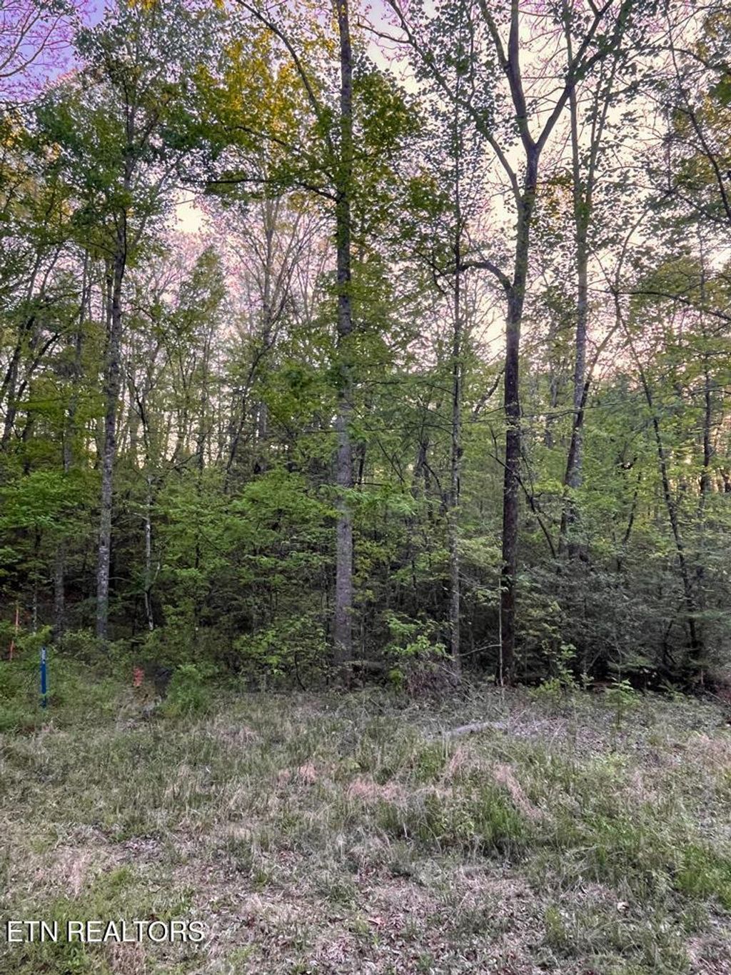 Photo of 0 Kiddie Circle #0, Crossville, TN 38572 (MLS # 1338132)