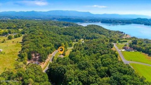 Tiny photo for 123 Cove Springs Drive, Dandridge, TN 37725 (MLS # 1355768)