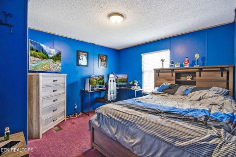 Tiny photo for 3035 Ocalala Tr, Crossville, TN 38572 (MLS # 1325596)