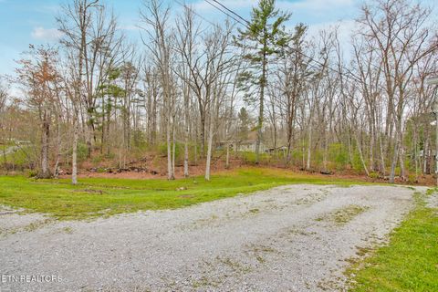 Tiny photo for 3035 Ocalala Tr, Crossville, TN 38572 (MLS # 1325596)