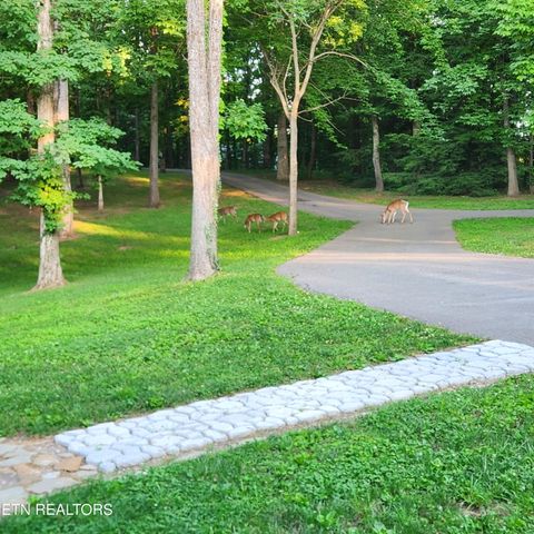 Tiny photo for 2418 E Gallaher Ferry Rd, Knoxville, TN 37932 (MLS # 1341285)