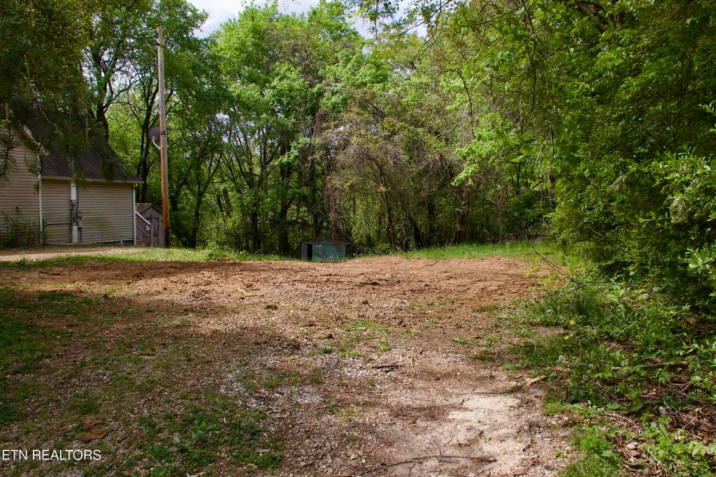 Photo of 141 Nevada Ave, LaFollette, TN 37766 (MLS # 1336765)