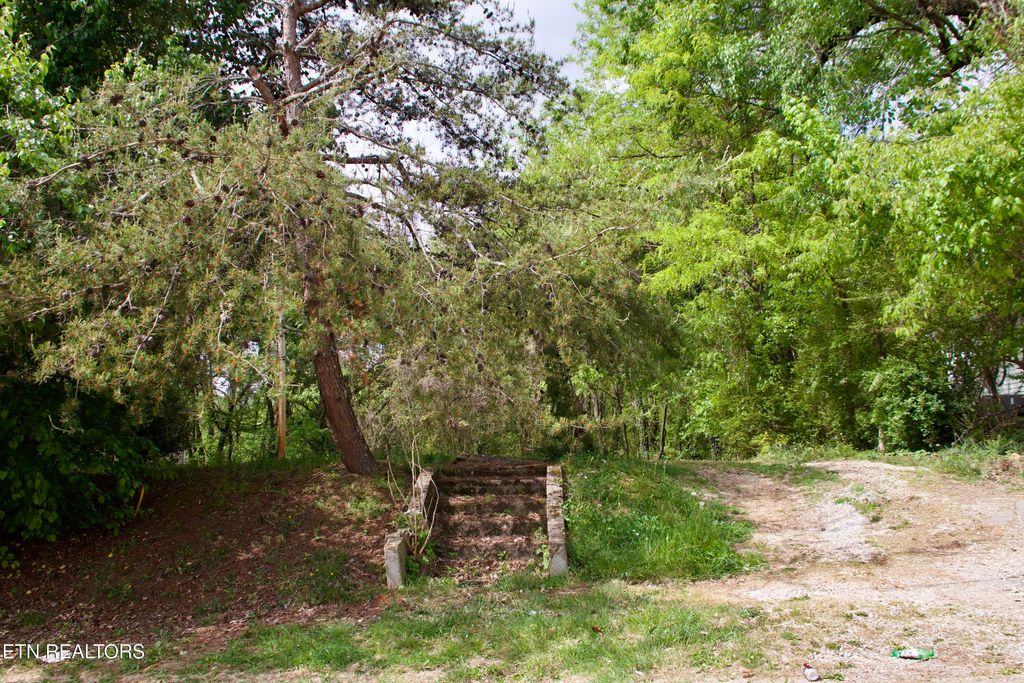 Photo of 141 Nevada Ave, LaFollette, TN 37766 (MLS # 1336765)