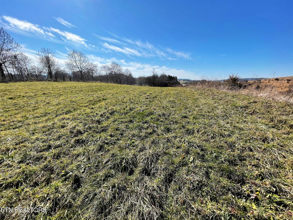 Photo of 4 Highway 321, Parrottsville, TN 37843 (MLS # 1309426)