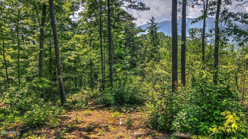 Photo of Hawk View Rd, Townsend, TN 37882 (MLS # 1235038)