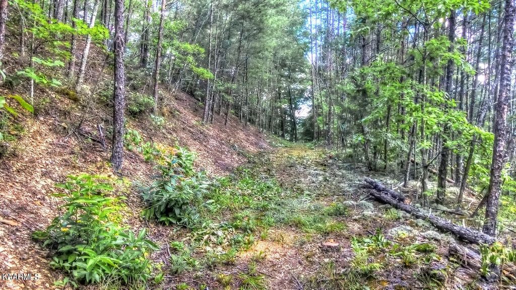 Photo of Hawk View Rd, Townsend, TN 37882 (MLS # 1235038)