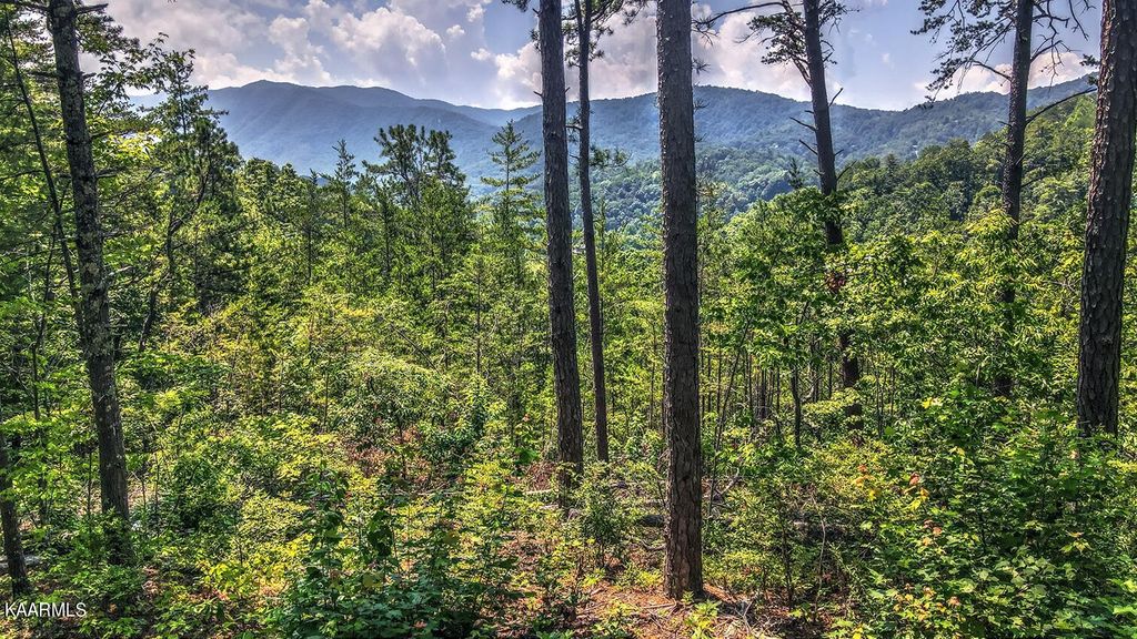 Photo of Hawk View Rd, Townsend, TN 37882 (MLS # 1235038)