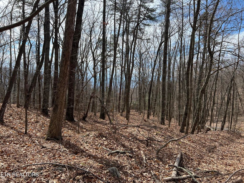 Photo of Laurel Lane, Sevierville, TN 37876 (MLS # 1331918)