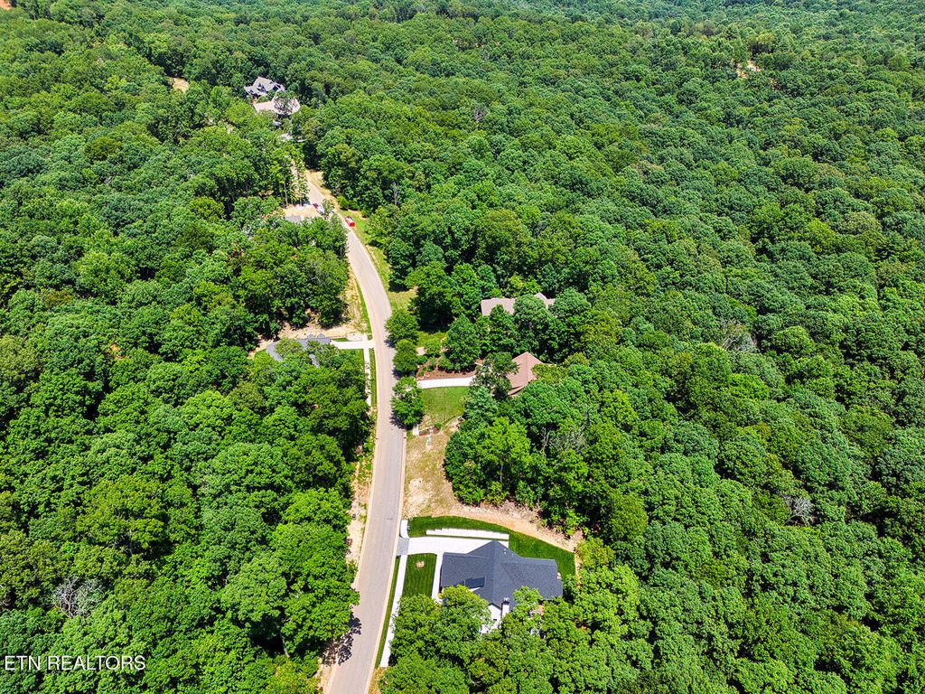 Photo of 1004 Old Dogwood Tr, Loudon, TN 37774 (MLS # 1306407)