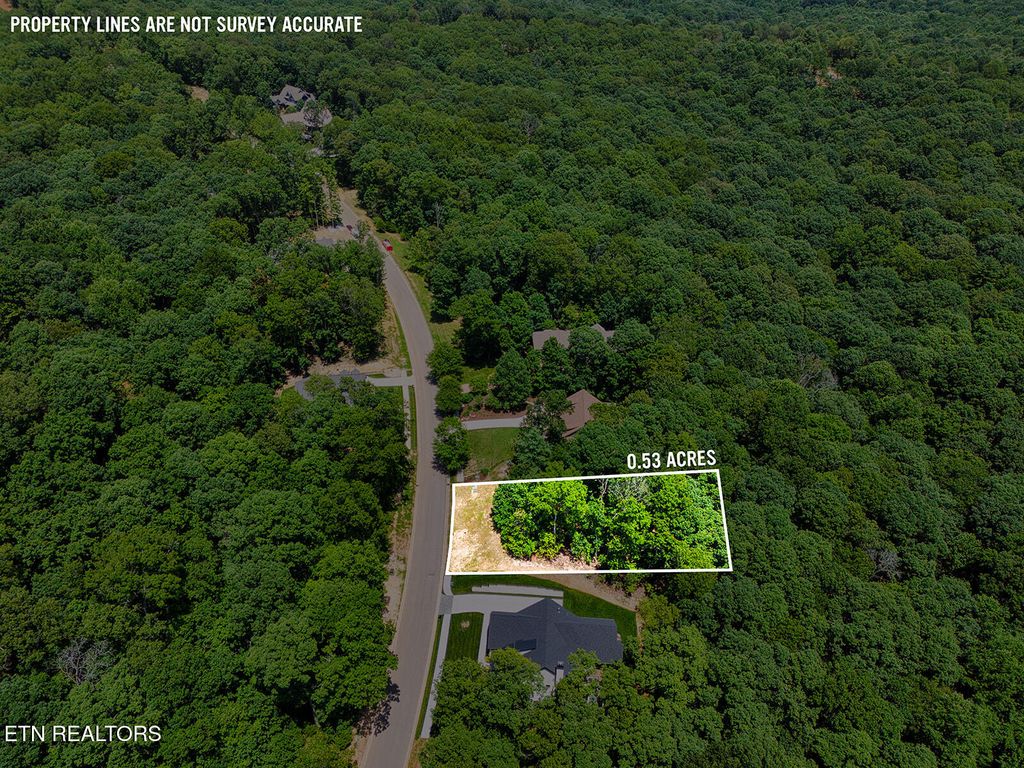 Photo of 1004 Old Dogwood Tr, Loudon, TN 37774 (MLS # 1306407)