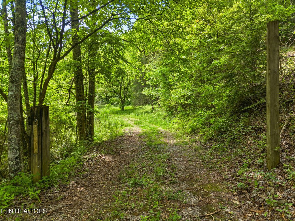 Photo of 4304 Bruce Ogle Way, Pigeon Forge, TN 37863 (MLS # 1339313)