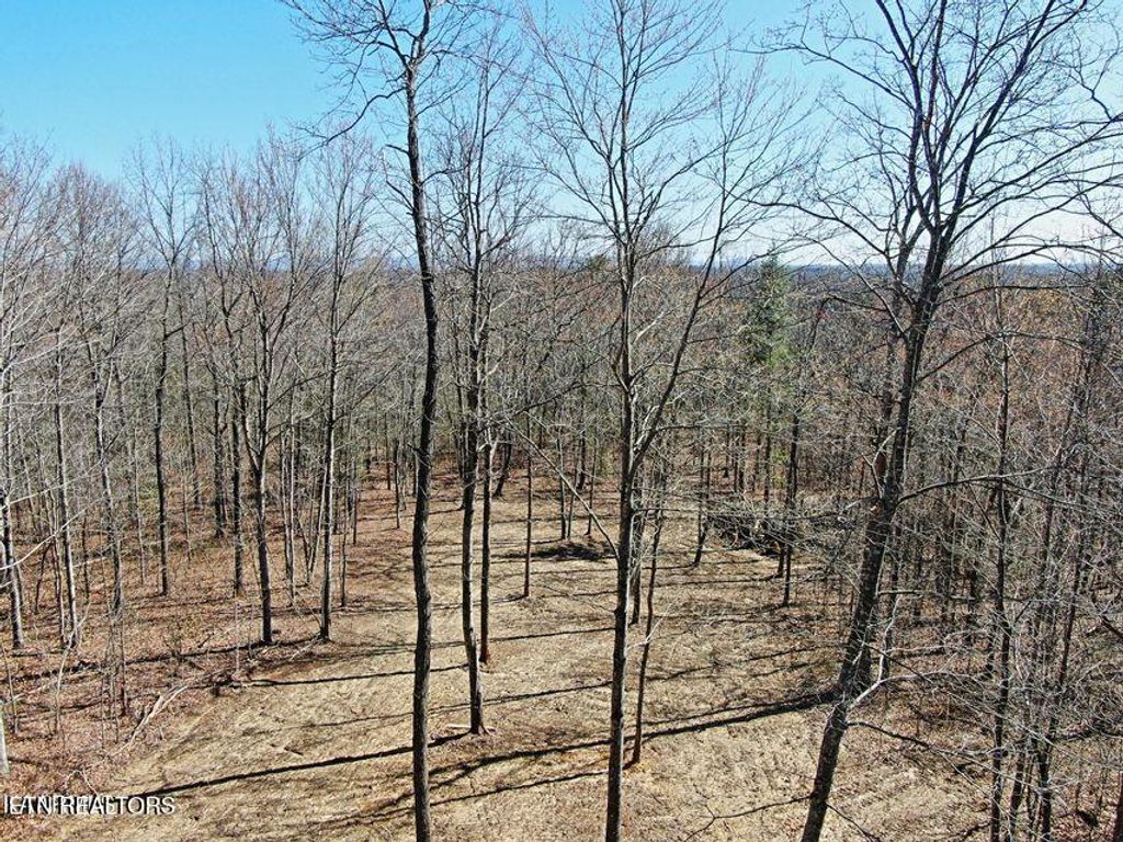 Photo of 72 Acres Cole Place Rd, Allardt, TN 38504 (MLS # 1326254)