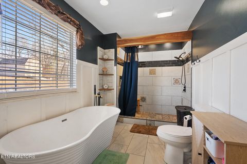 Tiny photo for 118 County Rd #327, Niota, TN 37826 (MLS # 1329506)