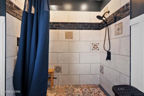 Tiny photo for 118 County Rd #327, Niota, TN 37826 (MLS # 1329506)