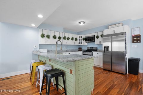 Tiny photo for 118 County Rd #327, Niota, TN 37826 (MLS # 1329506)