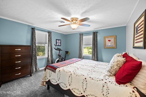 Tiny photo for 1301 Tazewell Pike, Plainview, TN 37721 (MLS # 1356177)